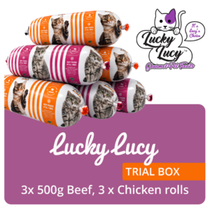Lucky Lucy Trial Box